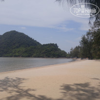 фото из отзыва ID 1502562