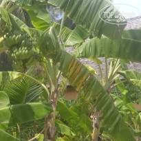 фото из отзыва ID 1502562