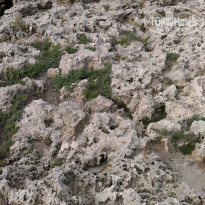 фото из отзыва ID 1502565