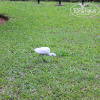 фото из отзыва ID 1502675