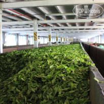 фото из отзыва ID 1502675