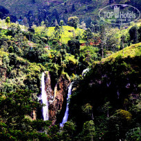 фото из отзыва ID 1502675