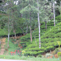 фото из отзыва ID 1502675