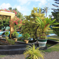 фото из отзыва ID 1502675