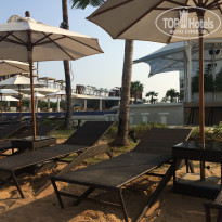 фото из отзыва ID 1502687