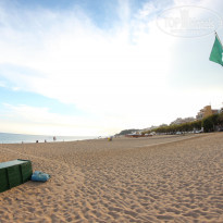 фото из отзыва ID 1501870