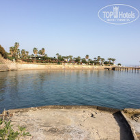 фото из отзыва ID 1501549