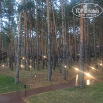 фото из отзыва ID 1502881