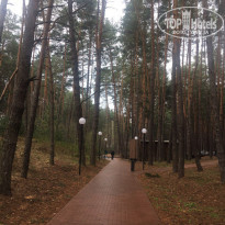 фото из отзыва ID 1502881