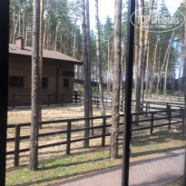 фото из отзыва ID 1502881