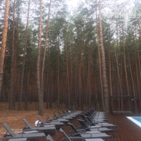 фото из отзыва ID 1502881