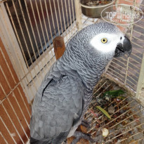 фото из отзыва ID 1502978