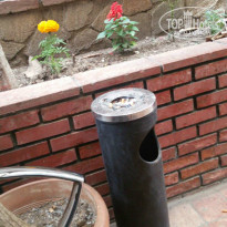 фото из отзыва ID 1503054