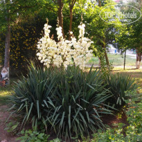 фото из отзыва ID 1503110