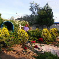 фото из отзыва ID 1503110