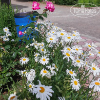 фото из отзыва ID 1503110