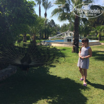 фото из отзыва ID 1503141