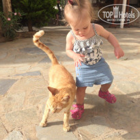 фото из отзыва ID 1503215