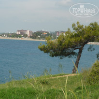 фото из отзыва ID 1503240