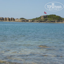 фото из отзыва ID 1503240