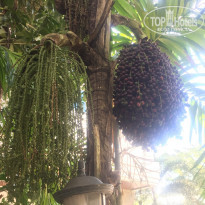 фото из отзыва ID 1503058