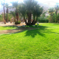 фото из отзыва ID 1501927