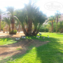 фото из отзыва ID 1501927