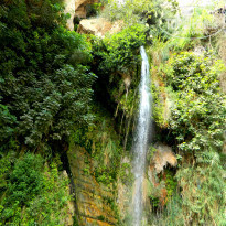 фото из отзыва ID 1501927