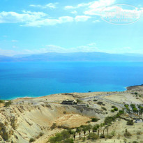 фото из отзыва ID 1501927