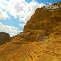 фото из отзыва ID 1501927