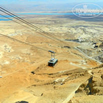 фото из отзыва ID 1501927