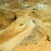 фото из отзыва ID 1501927