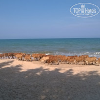 фото из отзыва ID 1503537