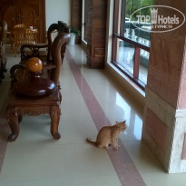 фото из отзыва ID 1503537