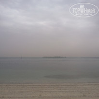 фото из отзыва ID 1503561