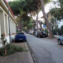 фото из отзыва ID 1503639