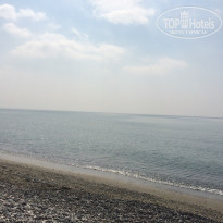 фото из отзыва ID 1503659