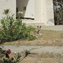 фото из отзыва ID 1503725