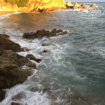 фото из отзыва ID 1503822