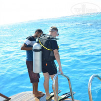 фото из отзыва ID 1503838