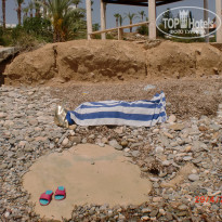 фото из отзыва ID 1503859