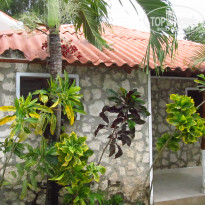 фото из отзыва ID 1504032