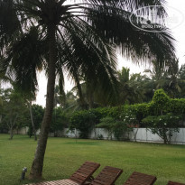 фото из отзыва ID 1504157