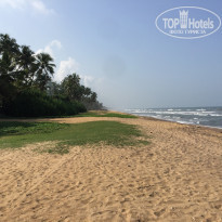 фото из отзыва ID 1504157