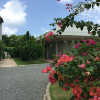 фото из отзыва ID 1504157