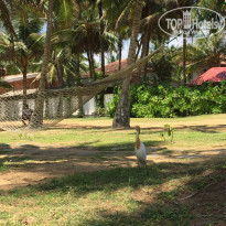 фото из отзыва ID 1504157