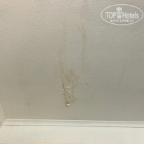 фото из отзыва ID 1504220