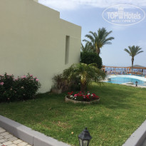 фото из отзыва ID 1504283