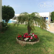 фото из отзыва ID 1504283