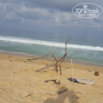 фото из отзыва ID 1500275